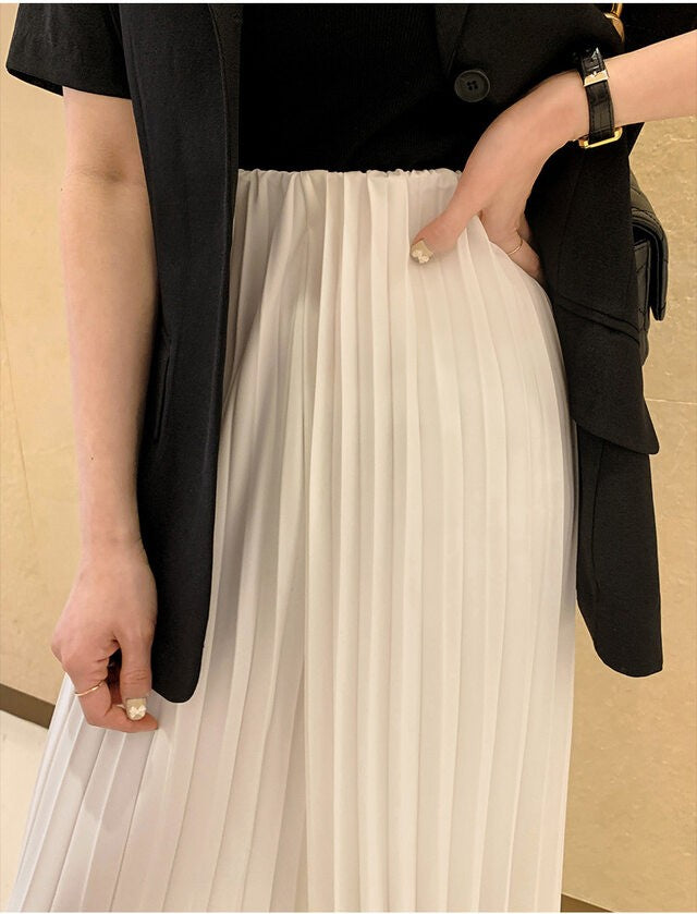 Pleats Pantskirts